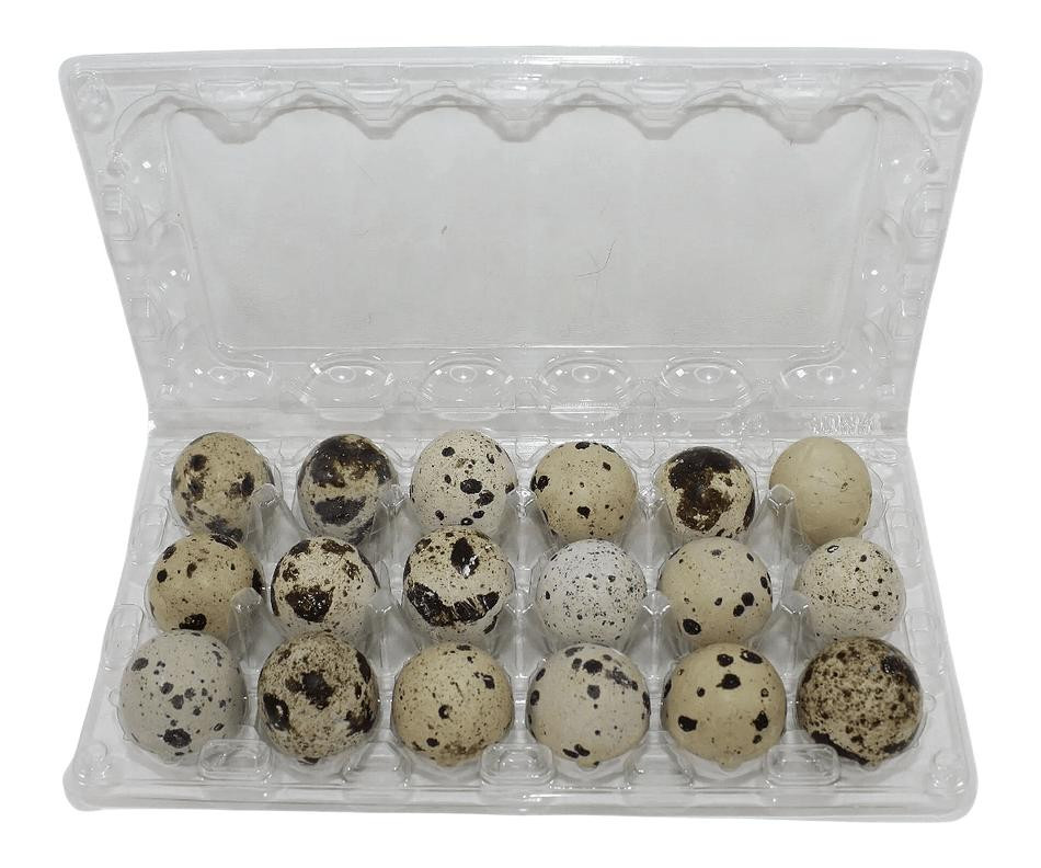JUMBO QUAIL FRESH EGGS 18PCS