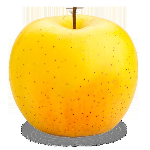 APPLE YELLOW