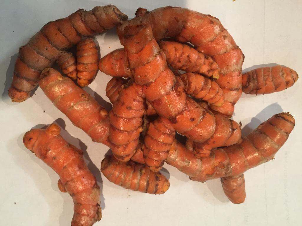 TURMERIC FRESH