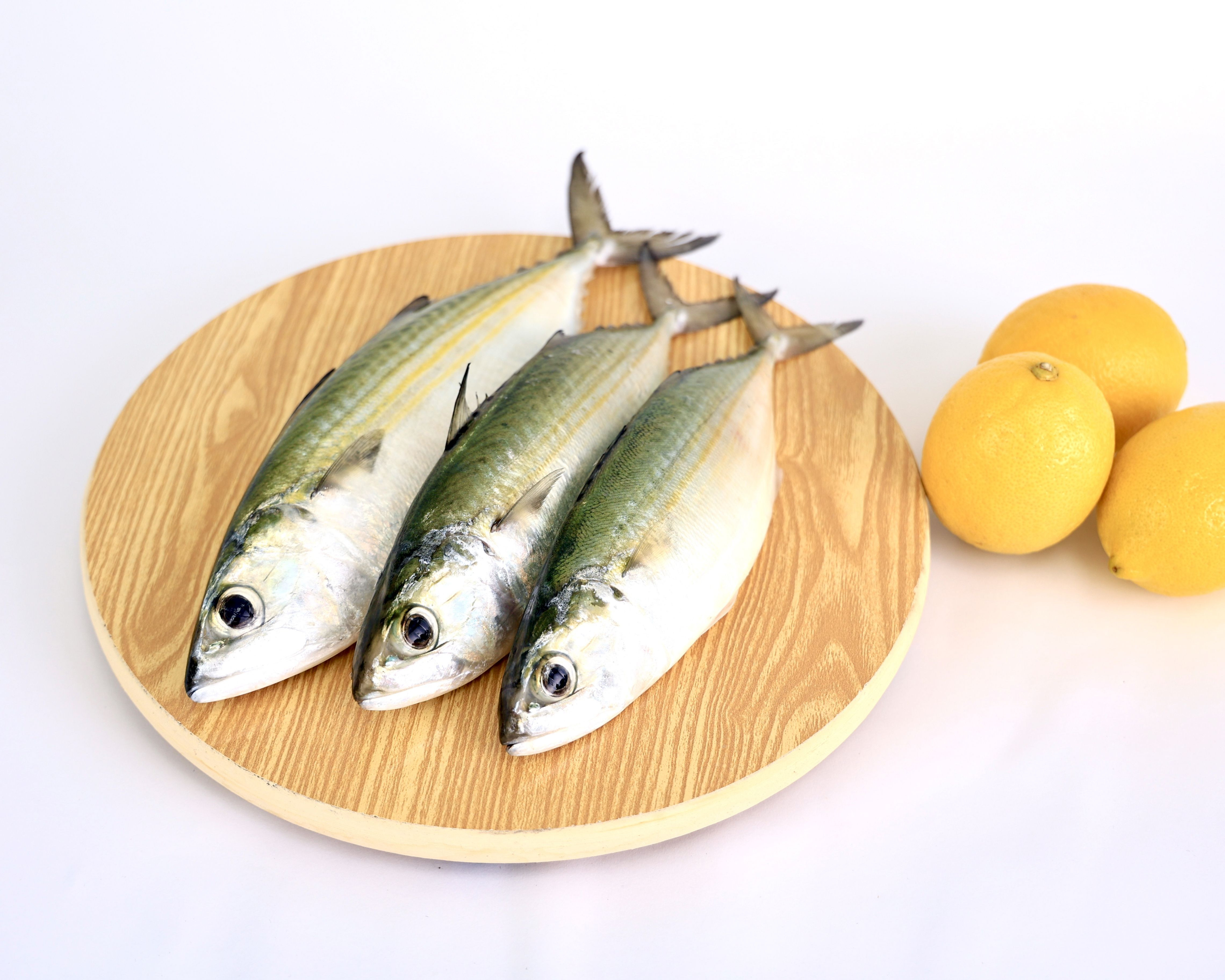  Mackerel